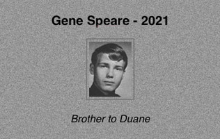 Gene Speare