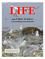 Life Calling - Edith Walker