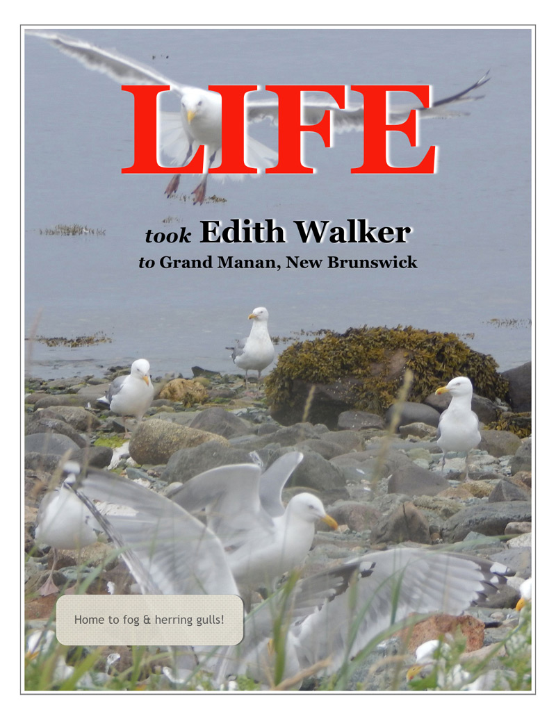 Life Was Calling - Edith Walker