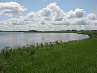 IMG 0375